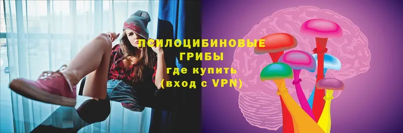 Псилоцибиновые грибы Psilocybe  Бабушкин 